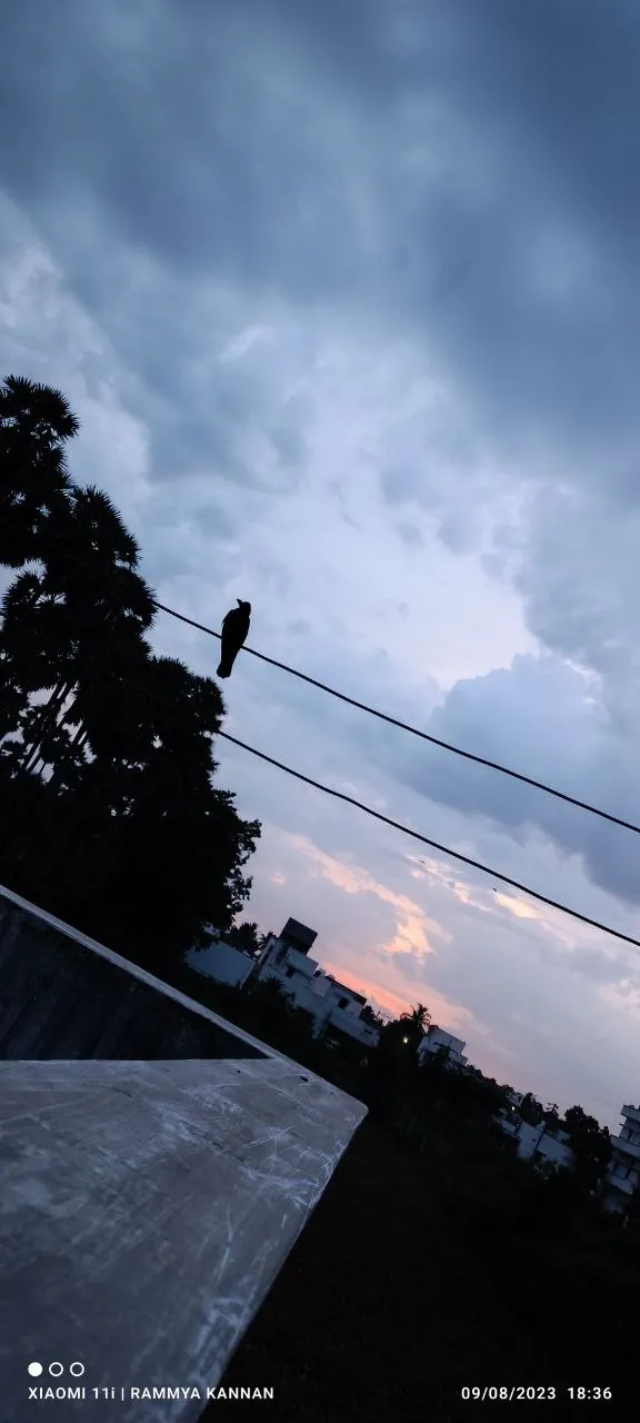 Cloudy Horizons and Crisp Air: A Gray Saturday Ahead for Indianapolis