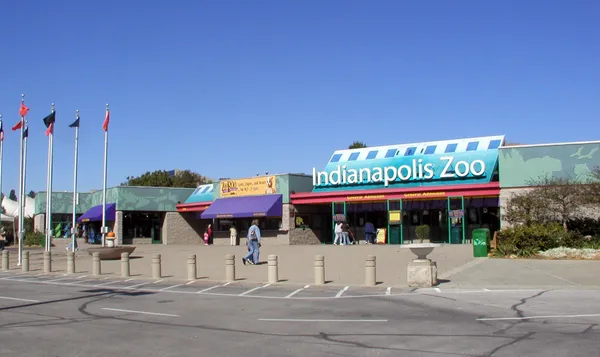What to know about the Indianapolis Zoo’s 2026 Uproar Conservation Challenge voting, funding and events